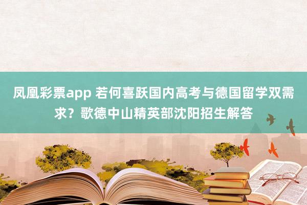 凤凰彩票app 若何喜跃国内高考与德国留学双需求？歌德中山精英部沈阳招生解答