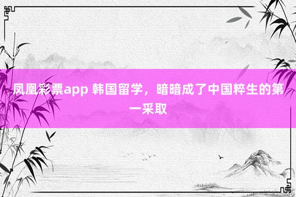 凤凰彩票app 韩国留学，暗暗成了中国粹生的第一采取