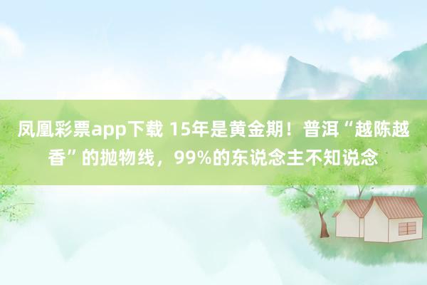 凤凰彩票app下载 15年是黄金期！普洱“越陈越香”的抛物线，99%的东说念主不知说念