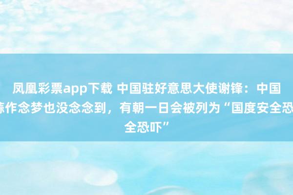 凤凰彩票app下载 中国驻好意思大使谢锋：中国大蒜作念梦也没念念到，有朝一日会被列为“国度安全恐吓”