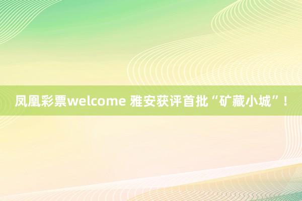 凤凰彩票welcome 雅安获评首批“矿藏小城”！