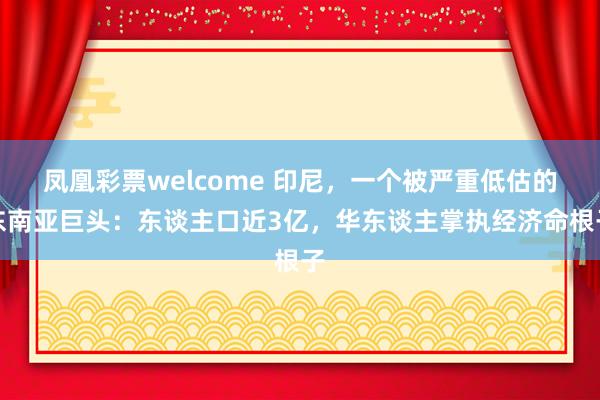 凤凰彩票welcome 印尼，一个被严重低估的东南亚巨头：东谈主口近3亿，华东谈主掌执经济命根子