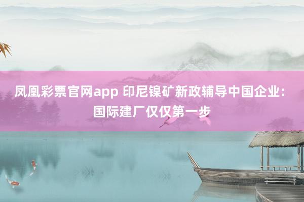 凤凰彩票官网app 印尼镍矿新政辅导中国企业: 国际建厂仅仅第一步