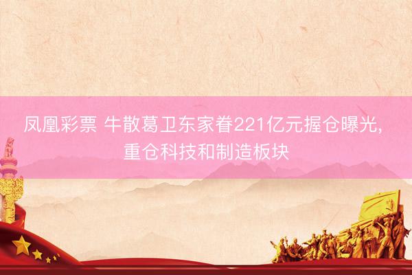 凤凰彩票 牛散葛卫东家眷221亿元握仓曝光， 重仓科技和制造板块