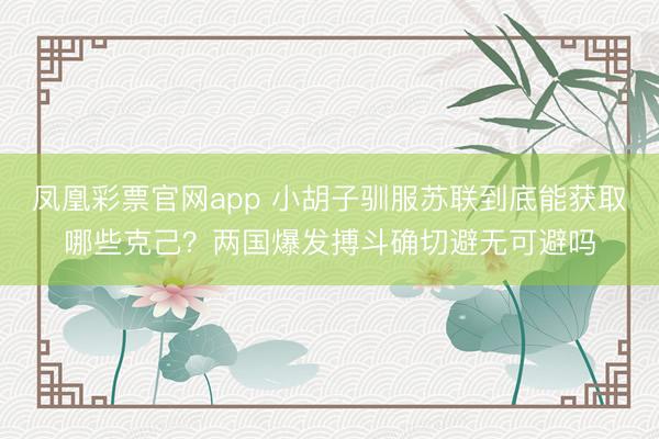 凤凰彩票官网app 小胡子驯服苏联到底能获取哪些克己？两国爆发搏斗确切避无可避吗