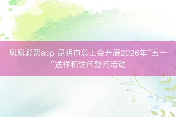 凤凰彩票app 昆明市总工会开展2026年“五一”送祥和访问慰问活动